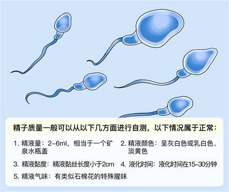 生男女機率|生男生女精子是關鍵！醫師：性行為時試試這樣做｜親 